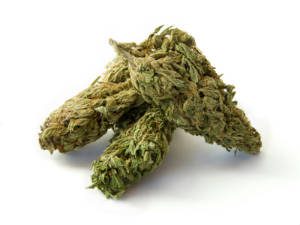 Possession of Marijuana Ticket