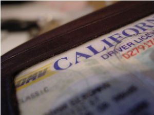 driving on suspended license